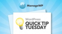 WordPress Quick Tip Tuesday