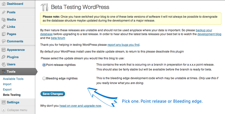 WordPress Beta Testing - 2 update options WordPress Beta Testing - 2 update options