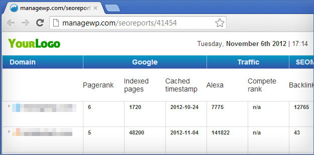 seo_report