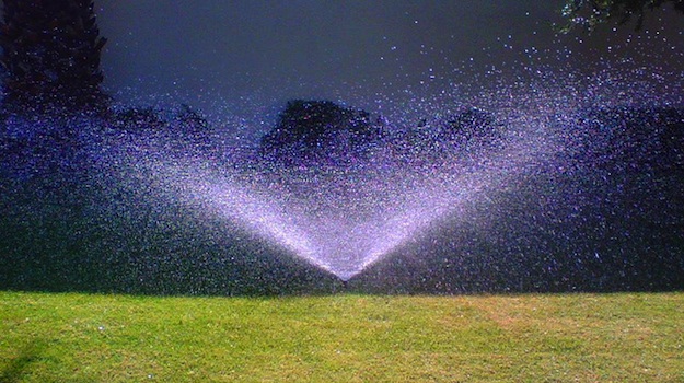 ManageWP Loves Sprinkler Systems