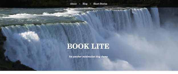 book lite 135+ Responsive Theme Wordpress for Free