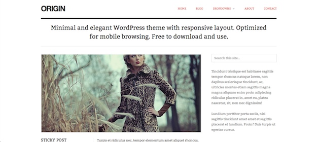 origin 135+ Responsive Theme Wordpress for Free