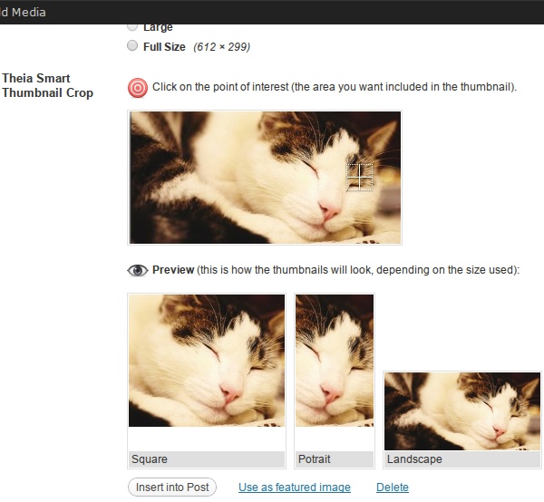Theia Smart Thumbnails - Premium WordPress Plugin Theia Smart Thumbnails - Premium WordPress Plugin