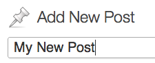 The New Post title field The New Post title field