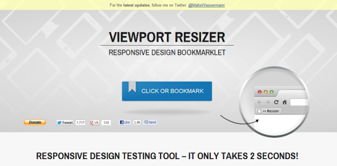 Viewport Resizer