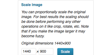 scale image in wordpress