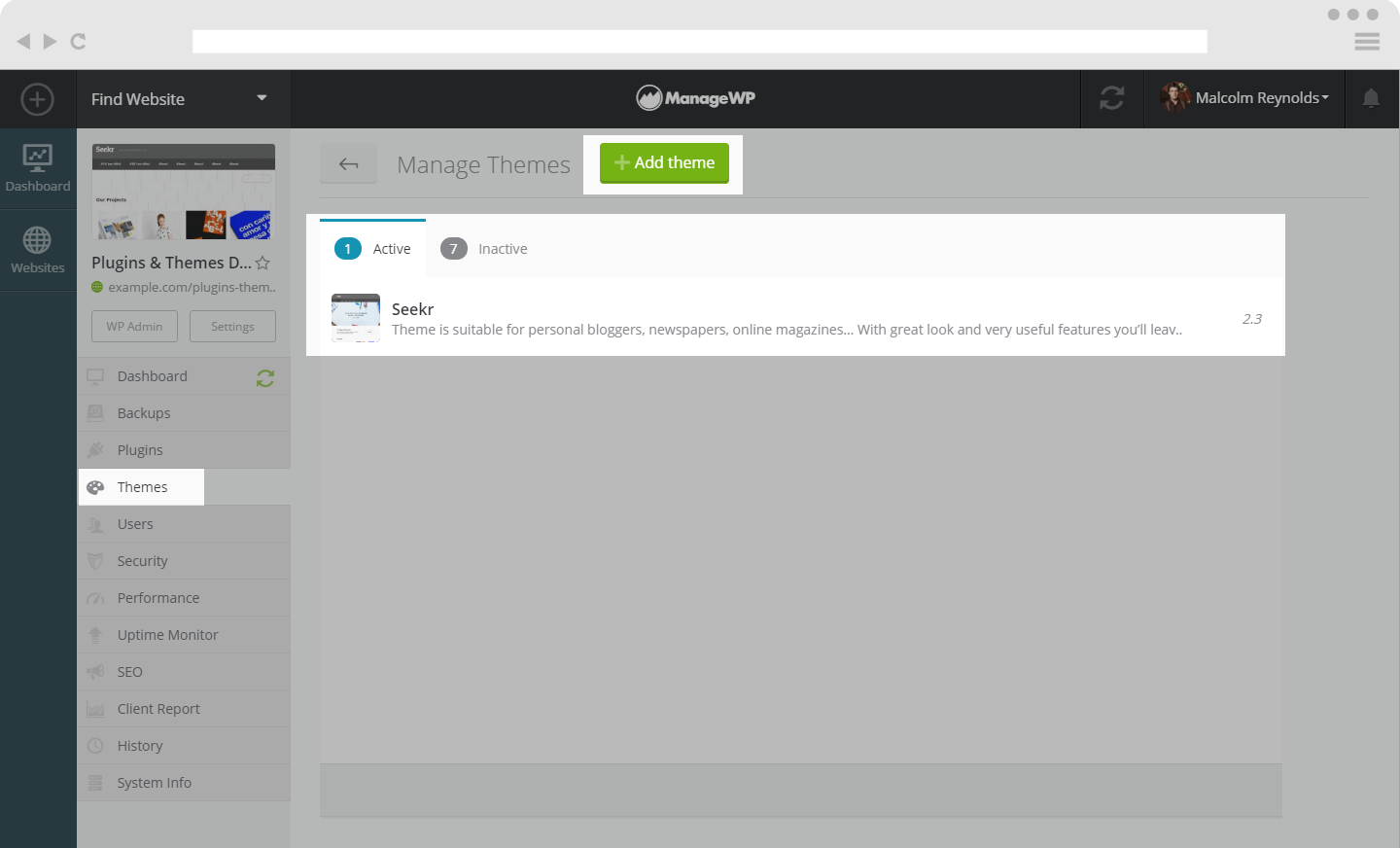 theme manager