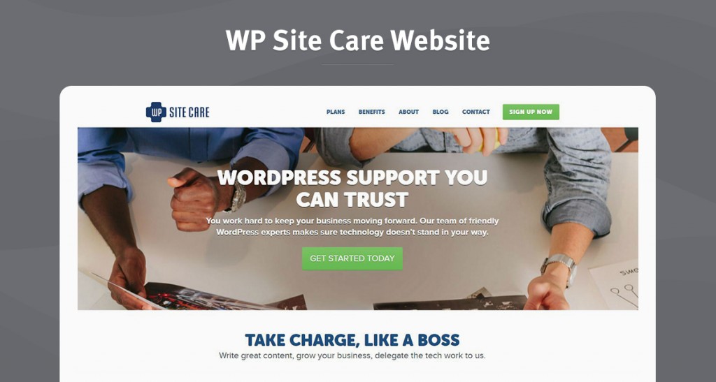 wordpress business wp site care 