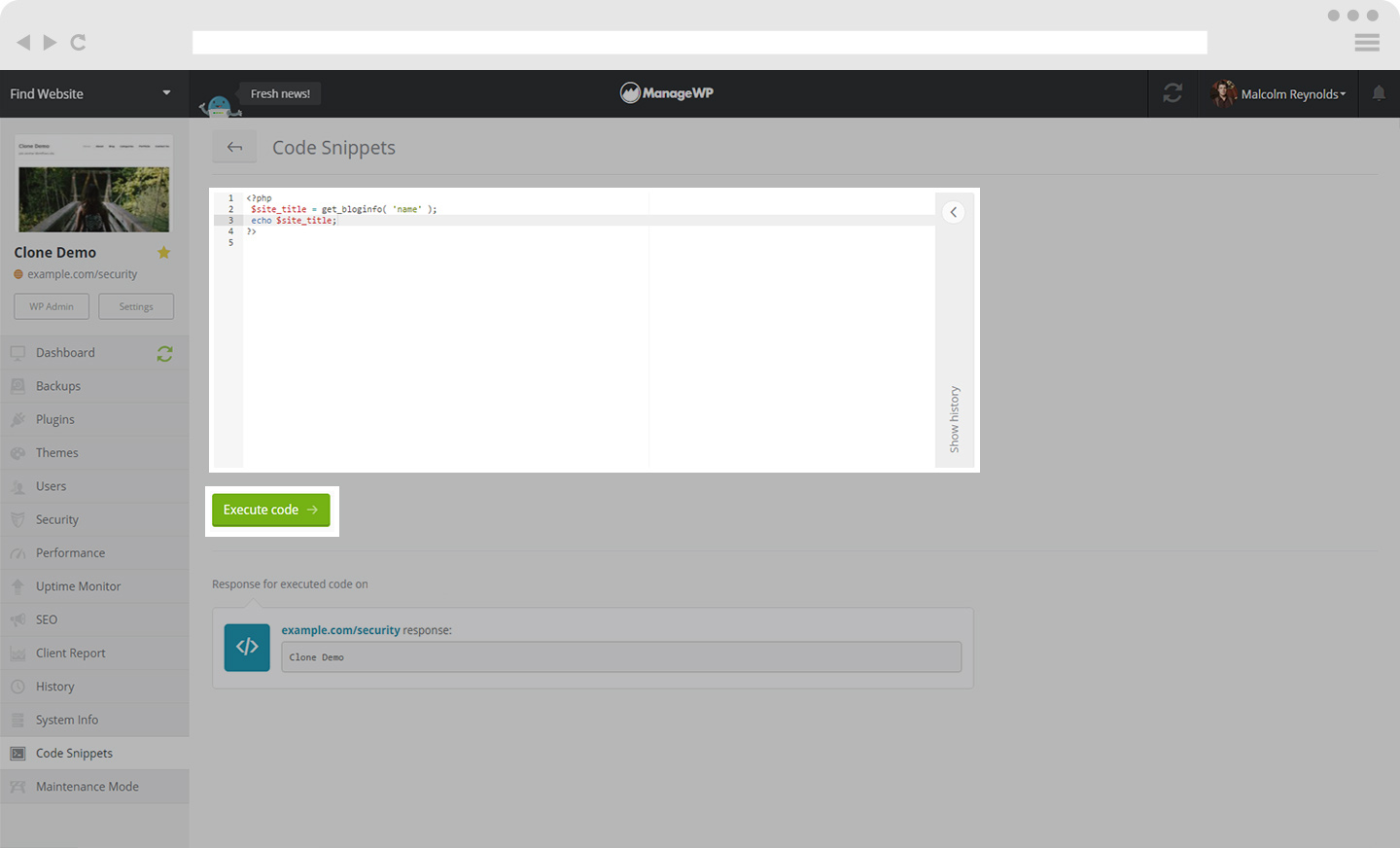 How to Use Code Snippets Tool From Your Dashboard - ManageWP