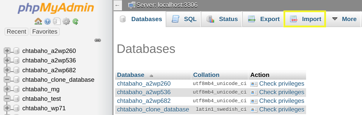 The phpMyAdmin Import tab.